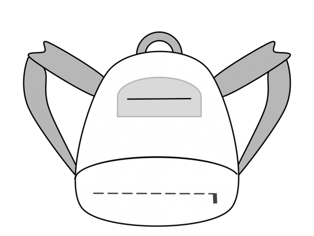 Clear backpack for parkland students