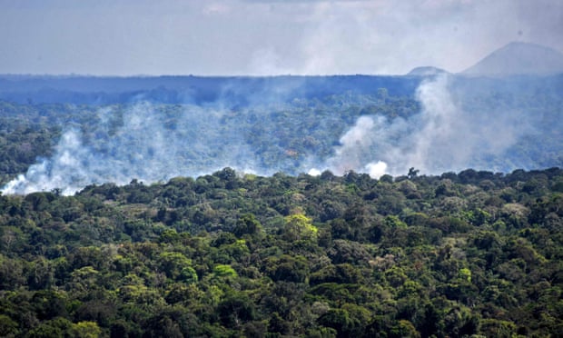 Nelson Almeida Amazon Rainforest