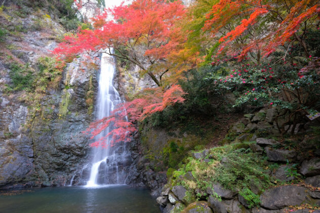 Minoo Waterfall in colorful autumn season with red maple leaf Fa