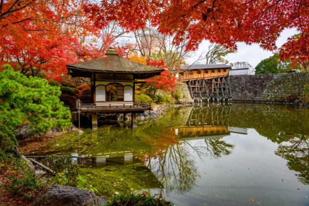 Wakayama castle in the autumn park, Momijidani Teien Garden in W