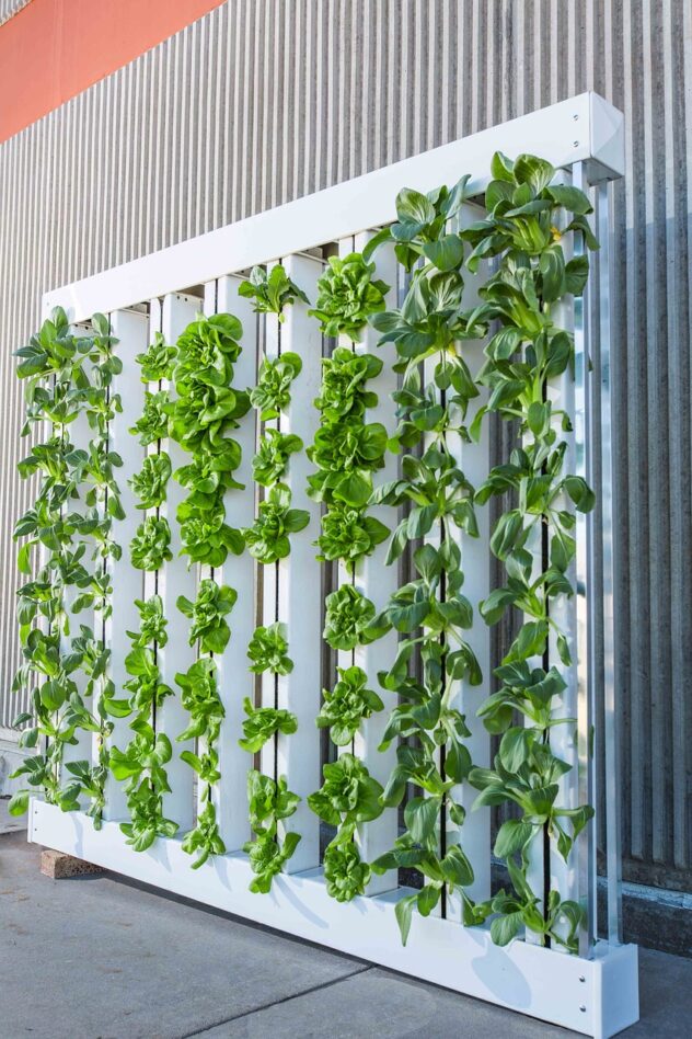 vertical-farm-g7bc1adedb_1280