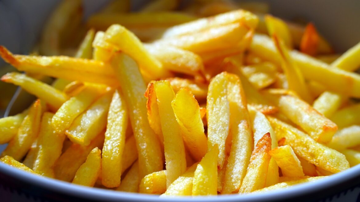 french-fries-5332766_1280