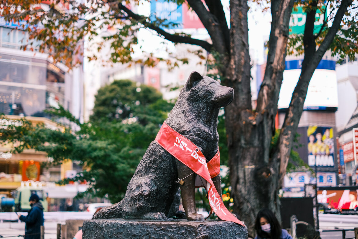 【#東京】渋谷忠犬ハチ公の像