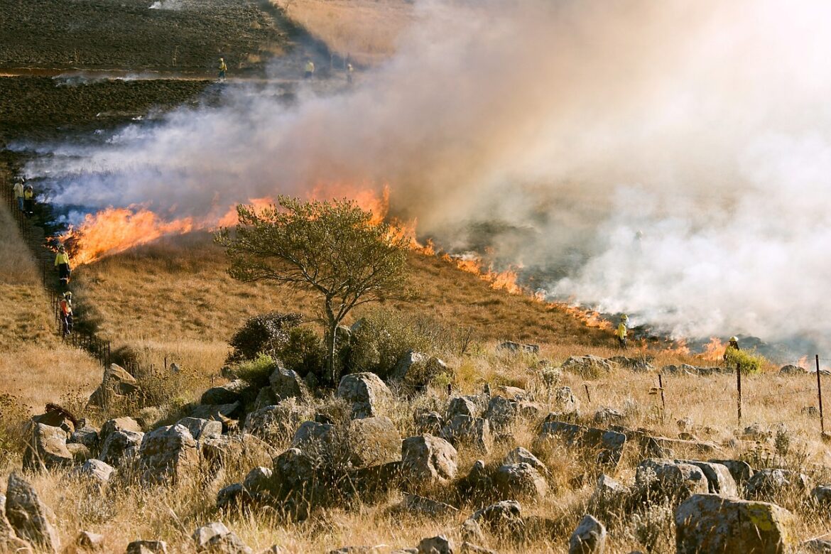 grass-fire-807388_1280