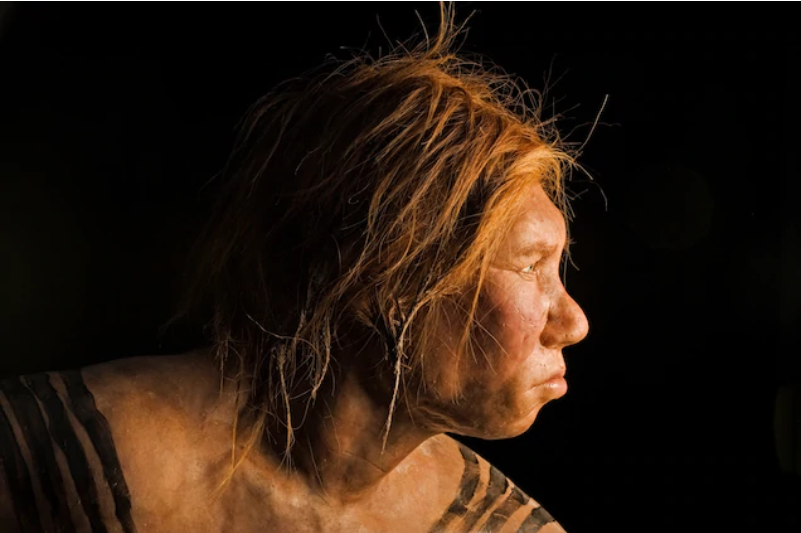 Neandertal