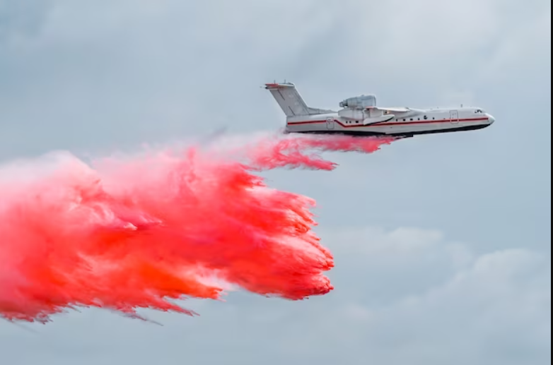 pink plane