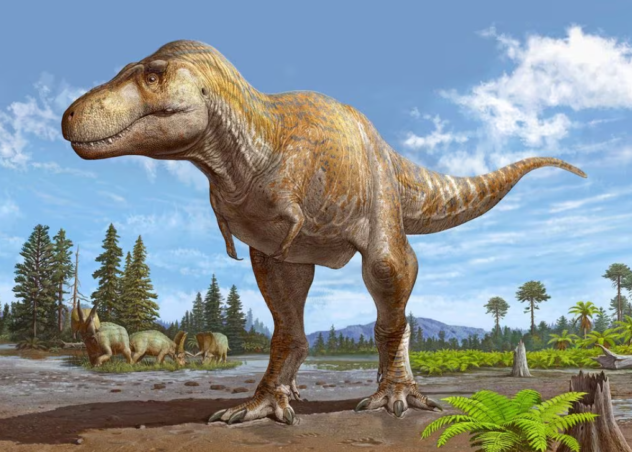 Screenshot 2024-01-18 134403