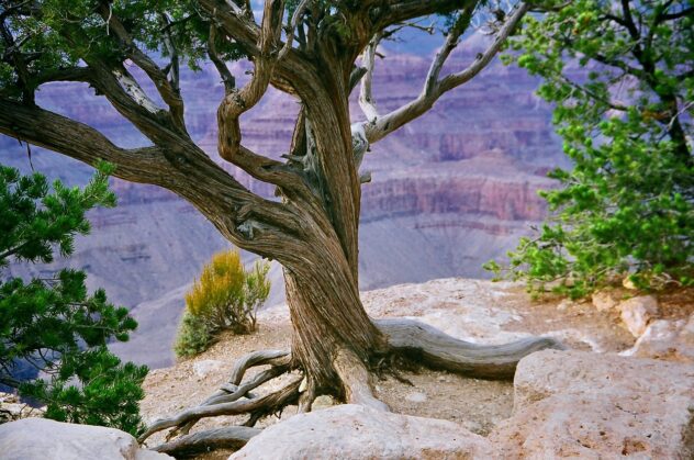 grand-canyon-5946657_1280