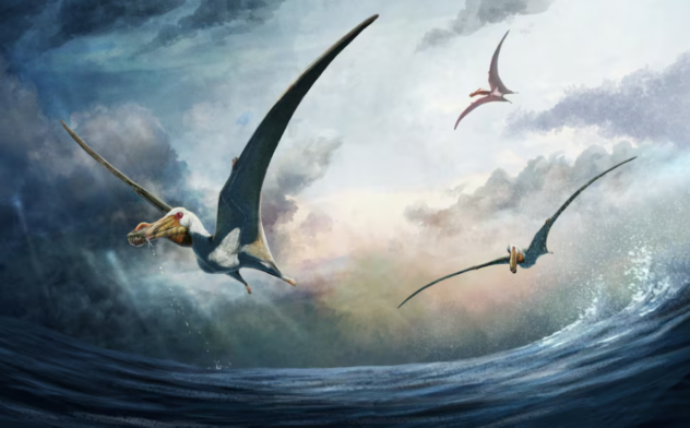 pterosaur
