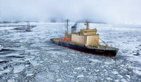 arctic