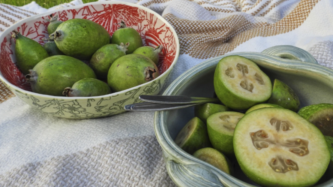Feijoa (2)