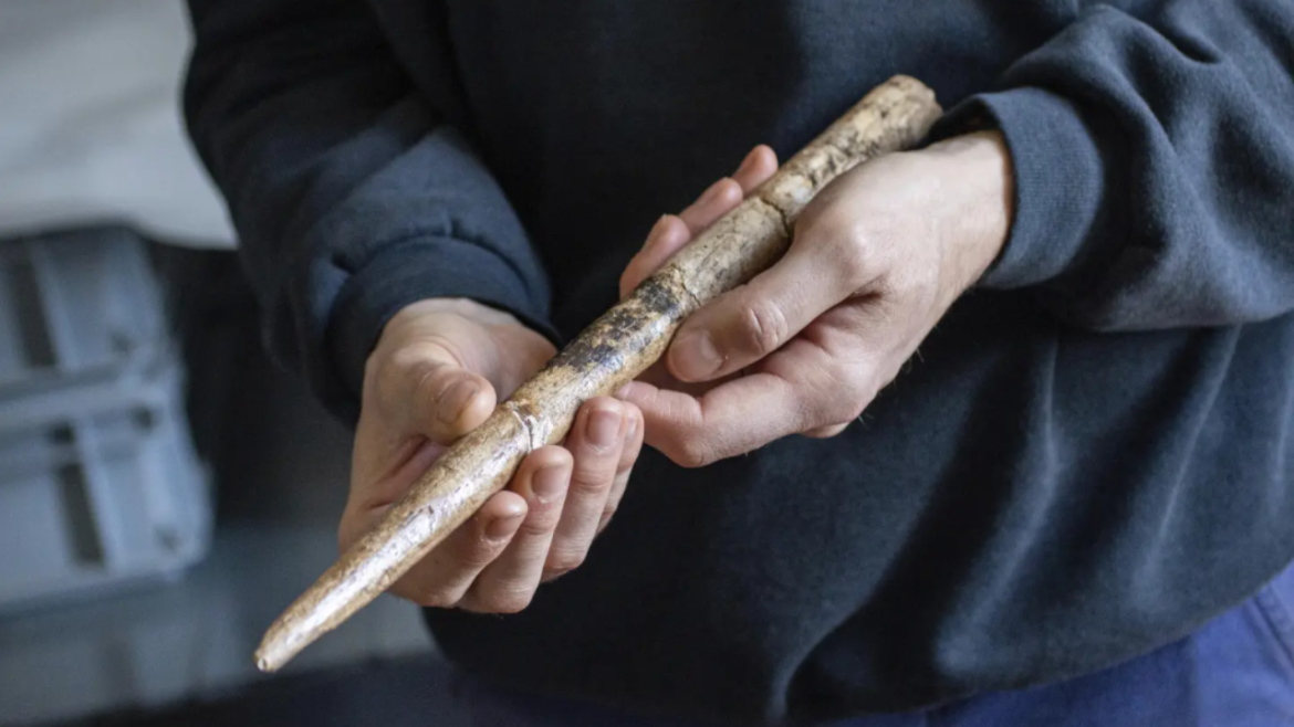ancient tool