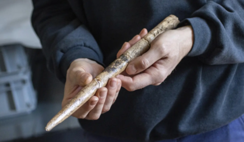 ancient tool