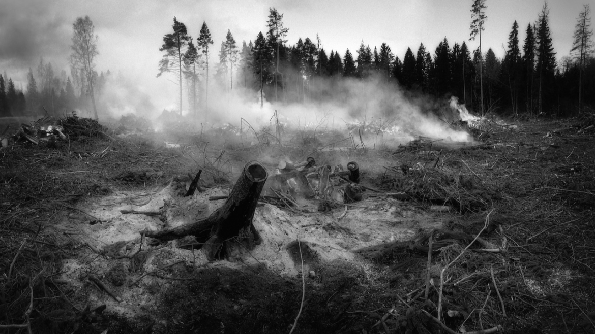 wildfire