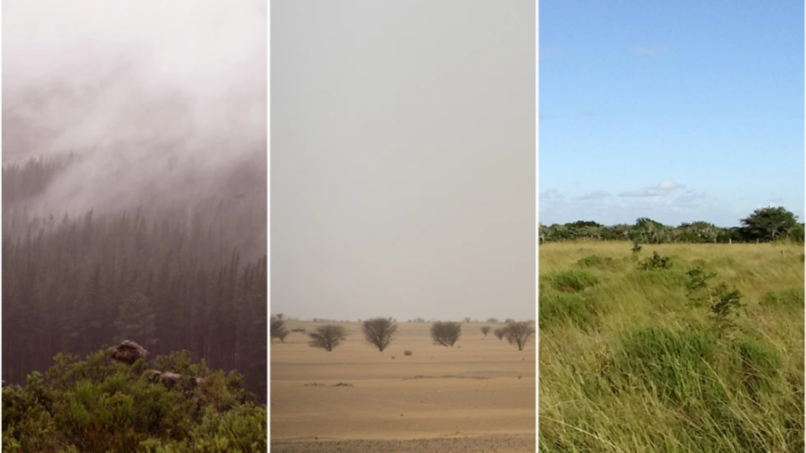 harsh environment
