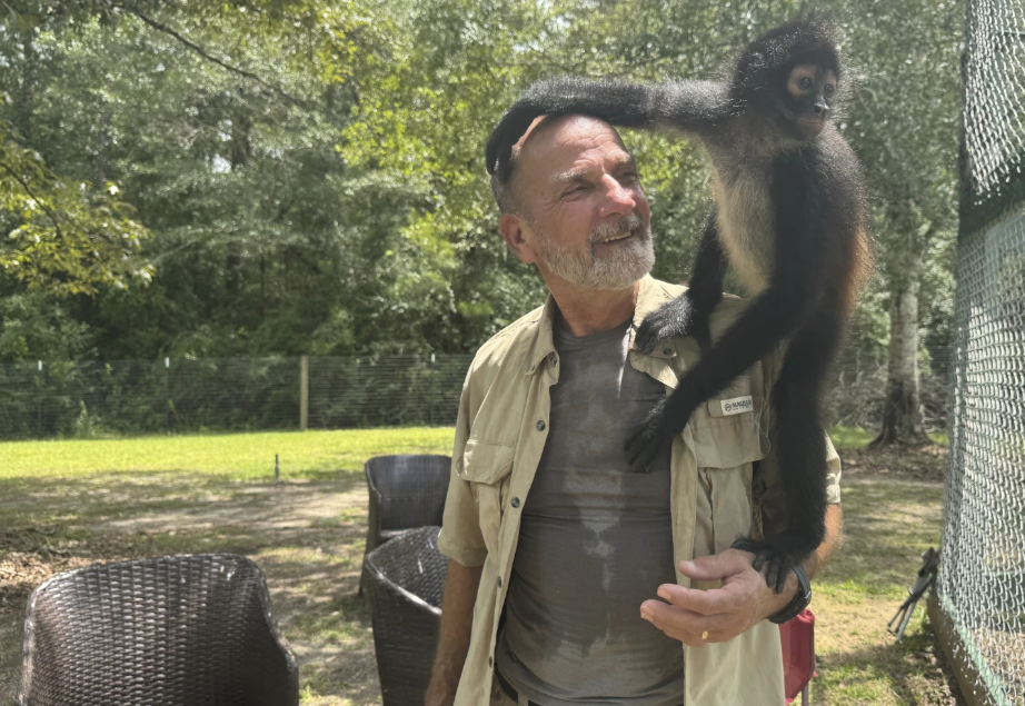 monkey