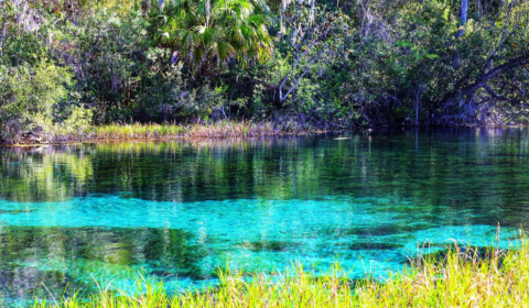 fresh water