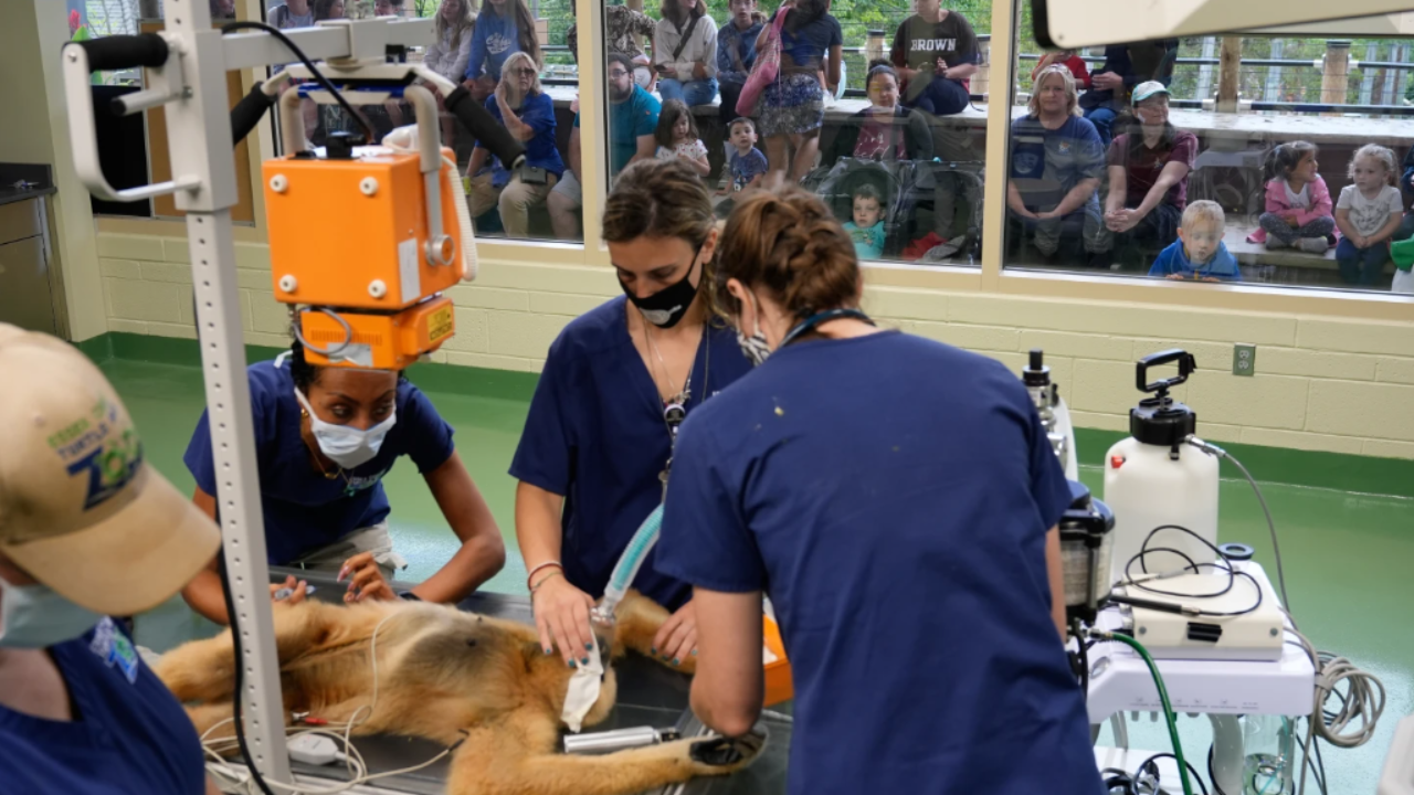 (AP Photo/Seth Wenig)