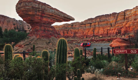 Radiator Springs Racers at Cars Land