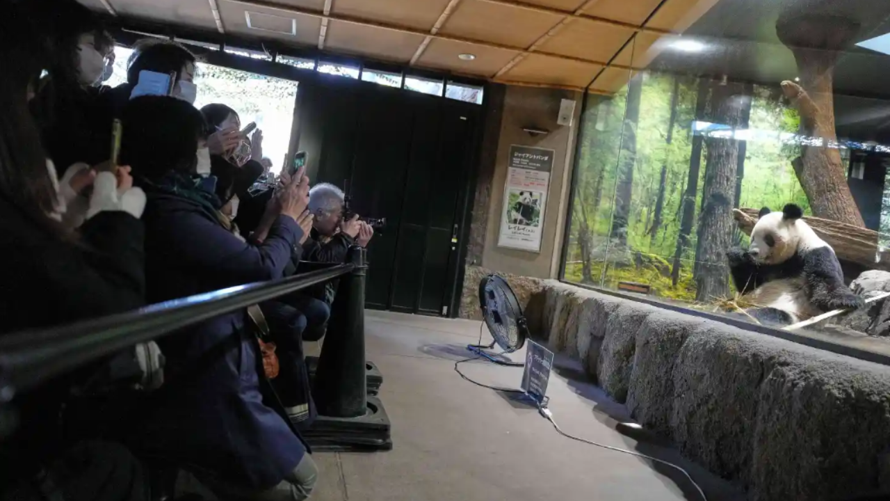 (AP Photo/Eugene Hoshiko)