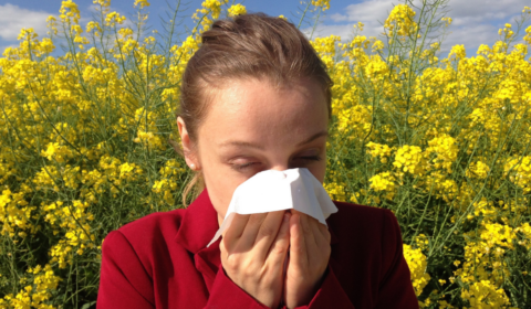 pollenallergy